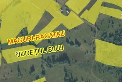 Teren de 1000 mp, în Măguri