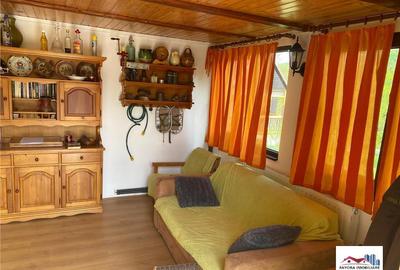 Cabana de Zona Bistra Muresului - Deda - 1