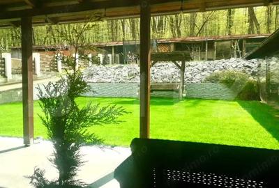 Casă cu 4 camere cu Teren 800 Mp în Central - 1