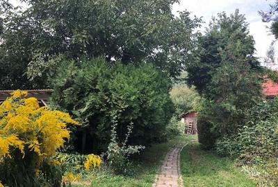 Casă cu 3 camere cu Teren 760 Mp în Ultracentral - 3