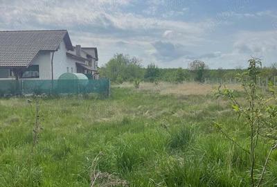 Teren de 550 mp, în Tăuții-Măgherăuș - 2