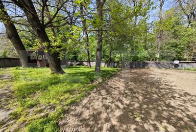 Teren de 2400 mp, în Bucium - 3