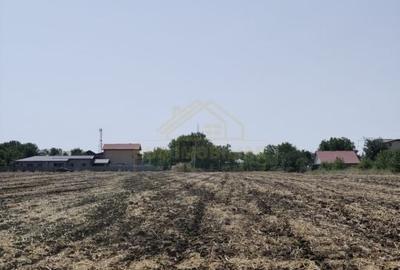 Teren Intravilan intrare com. Frumusani, acces sos Oltenitei 200M