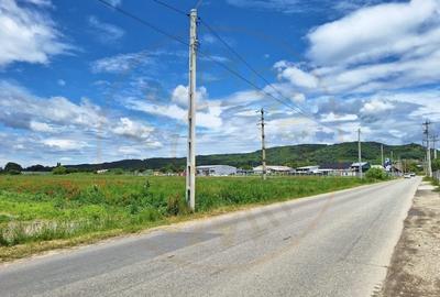 Teren industrial de vanzare – Ștefanesti, Strada Sticlelor - 3