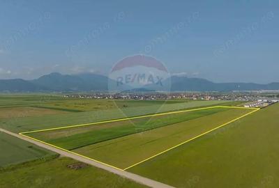 Teren 42,000mp Tarlungeni / Strada Izvor - 1