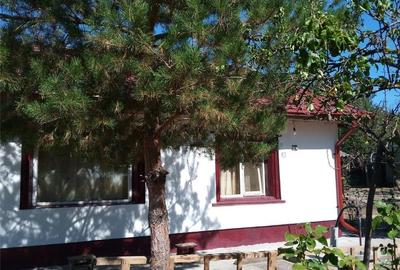 Casă cu 7 camere în Botoroaga - 4