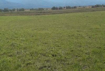Teren de 27000 mp, în Drăguș