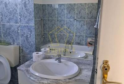 Spatiu comercial util compartimentat I Lipovei - 8