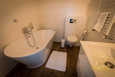 Apartmanet cu o camera de inchiriat in zona ultracentrala- Oradea - 5