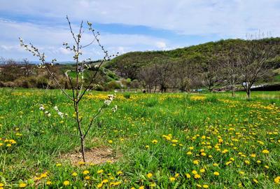 Spațiu comercial, în Moldovenești - 2