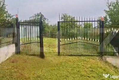 Casă cu 5 camere cu Teren 2300 Mp în Mătăsaru - 13