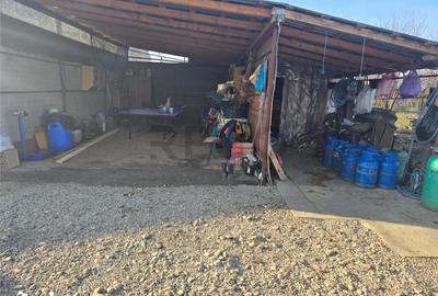 Casă cu 2 camere cu Teren 2489 Mp în Mădăras - 10