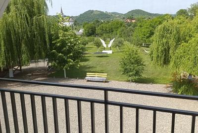 Casă cu 9 camere cu Teren 8000 Mp în Bârsana - 7