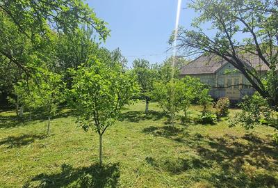 Casă cu 2 camere în Dersca - 6