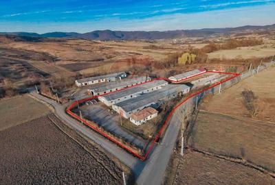 De vanzare spatii de productie si depozitare (hale),Sat Gheghie-Bihor - 5