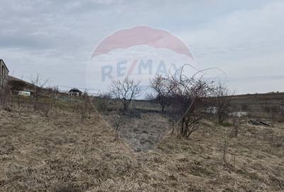 Teren Construcții intravilan de 2307 mp, în Sălicea - 16