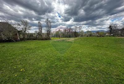 Teren Construcții intravilan de 5097 mp, în Dumbrăvița - 1