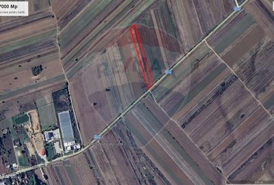 Teren Construcții intravilan de 7000 mp, în Stoenești (Florești-Stoenești) - 8