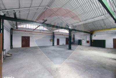 Spațiu comercial, de 435 mp, în Sânnicolau Mic - 10