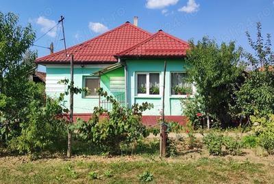 Casa de vanzare in loc.Halmeu - 3