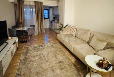 Apartament 2 camere de inchiriat Herastrau I Dorobanti I ... - 3