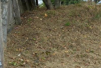 Teren Construcții intravilan de 1040 mp, în Vișan - 4