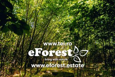 Teren Construcții intravilan de 720 mp, în Crevedia - 2