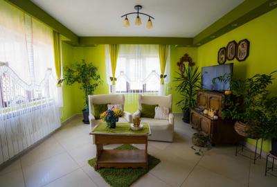 Casă cu 4 camere în Borșa - 7