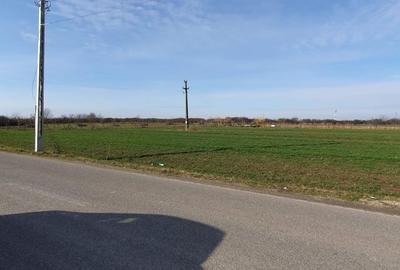 Teren de 5300 mp, în Odoreu - 2