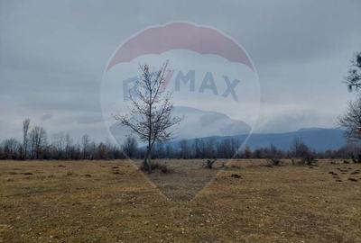 Teren de vanzare Comanesti zona Podina - 4