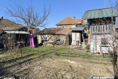 Casă cu 2 camere în Sânnicoară - 11