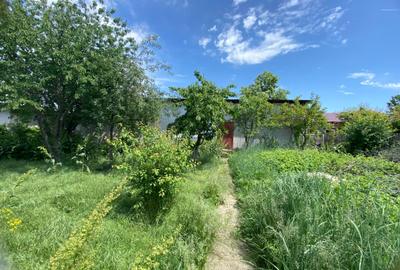 Casă individuală cu 4 camere cu Teren 1343 Mp în Petrăchioaia - 3