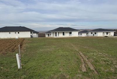 Spațiu comercial, în Paleu - 6