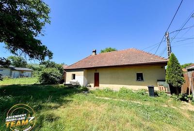 FILM &Tur 3D! Casa cu gradina, pomi fructiferi, fantana, Zagon, Covasna - 3