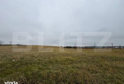 Teren de 4416 mp, în Turdaș - 2