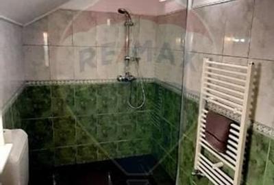 Cabana de vanzare in Valea Manastirii, Alba - 11