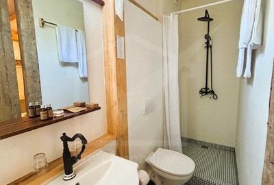 Oportunitate de business, zona ultracentrala, 8 camere - 21