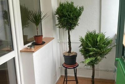 Titan, Lucretiu Patrascanu, stradal, 5 min de metrou Costin Georgian mob - 4