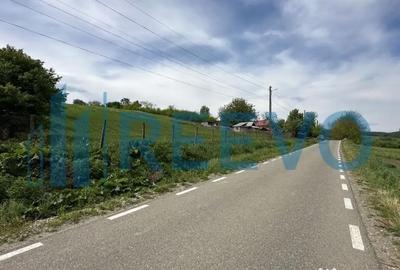 Teren de 5351 mp, în Roșiori - 4