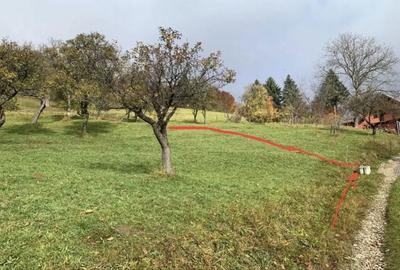 Spațiu comercial, în Moieciu - 5