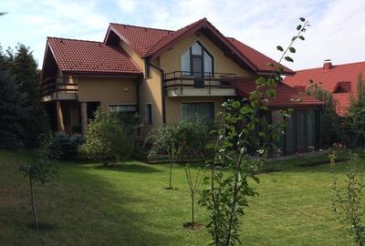 Casă individuală cu 5 camere cu Teren 10000 Mp în Bucium - 2