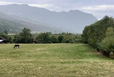 Teren de 3880 mp, în Cheia - 3