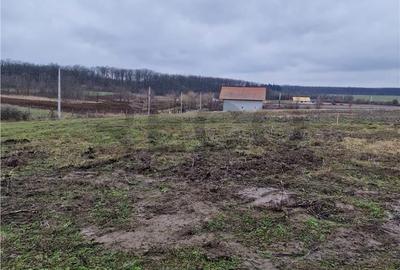 Spațiu comercial, în Păușa - 1