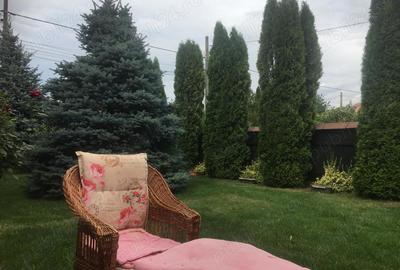 Casă cu 4 camere cu Teren 564 Mp în Pașcani - 5