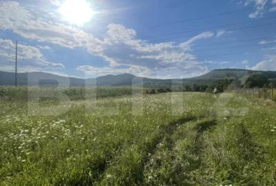 Teren de 1000 mp, în Viișoara - 2