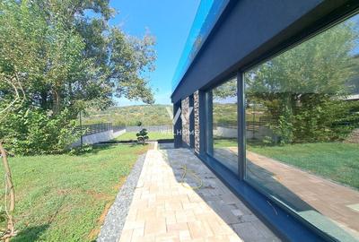 Casa cu piscina interioara si proveliste catre CETATE - 12