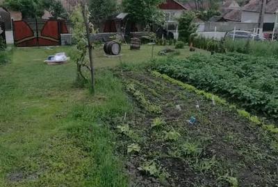 Casă cu Teren 1000 Mp în Pelișor - 8