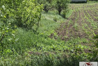 Teren Construcții intravilan de 1412 mp, în Sântimbru - 2