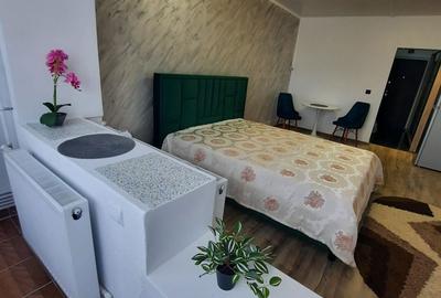 Garsonieră decomandată în Siderurgiștilor - 5