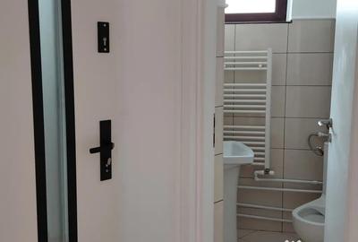 Casă cu 7 camere în Tudor Vladimirescu - 7